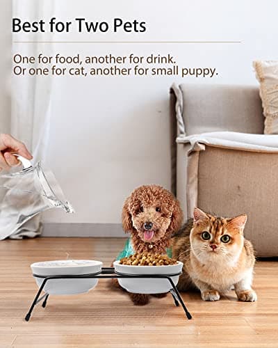 Anti-Vomiting Raised Cat Bowls - 2 × 13 oz Ceramic Cat Food & Water Bowls with Non-Slip Stainless Steel Stand, Dishwasher Safe for Indoor Cats 5