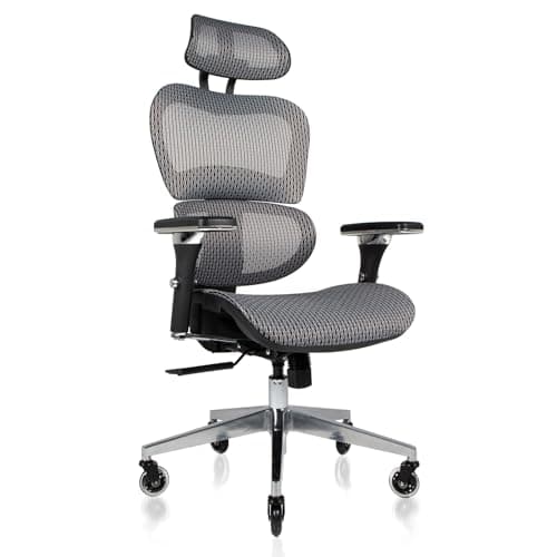 Nouhaus Ergonomic Office Chair with Lumbar Support High Back Mesh Desk Chair Best Desk Chair for Long Hours Adjustable Headrest and 4D Arms SGS Certified Gas Cylinder (Ergo3D Grey)