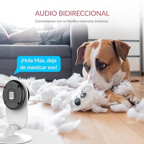 YI 2K 3MP Home Security Camera, Indoor Camera with Person, Vehicle, Animal Detection, Phone App for Baby, Pet, Dog, Monitoring, Compatible with Alexa and Google Assistance 9