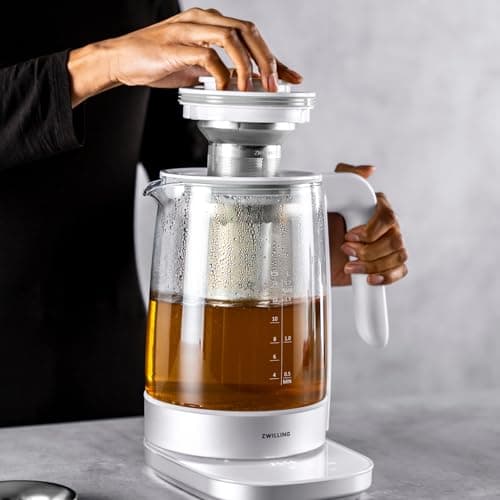 ZWILLING Enfinigy Glass Kettle, Tea Kettle, Silver 9