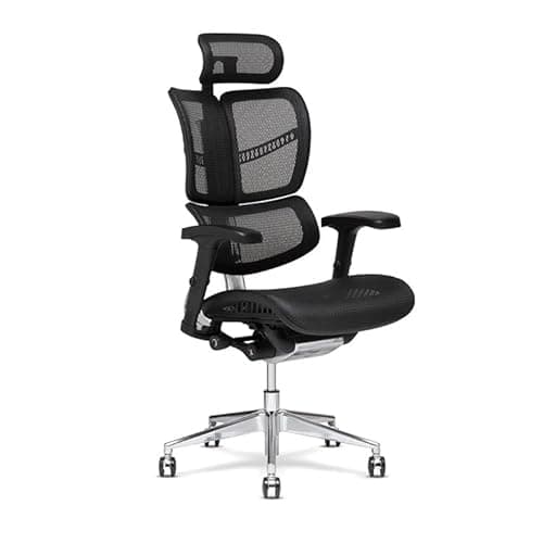 X-Chair XG-Wing Management Task Chair, Black K-Sport Mesh Fabric with Headrest - Ergonomic Office Seat/Split-Back Design/Dynamic Variable Lumbar Support/Floating Recline/Perfect for Long Work Days
