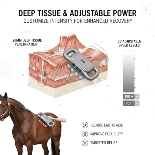 A-MONIES 8 Heads Horse Massage Gun, Equine Percussion Massager, Deep Tissue Horse Recovery Tool, Red Light Heat Therapy, Quiet Adjustable Intensity Muscle Relaxation for Equine Wellness(8 Heads) 5