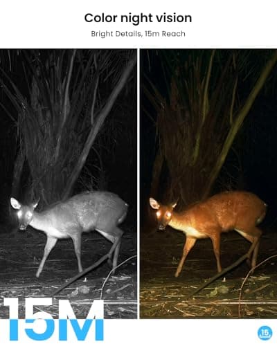 ANRAN 4G LTE Cellular Solar Security Camera Wireless Outdoor, 2K No WiFi Solar Powered Security Camera, 2 Way Audio, Smart Motion Detection, Color Night Vision, IP66, White (32GB & SIM Card Included) 9