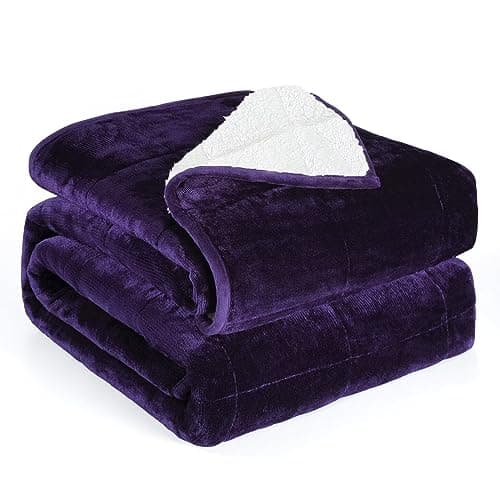 Alomidds Weighted Blanket Queen Size 15lbs 60 x 80 inches,Adult Weighted Blankets with Soft Plush Fleece,Fluffy Thick Warm Sherpa & Cozy Flannel Heavy Blanket for Sofa Bed,Purple