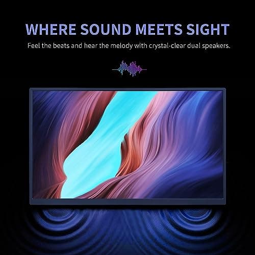 ReHisk 18.5 inch Portable Monitor, 100HZ 120% sRGB 1080P FHD IPS Large Portable Monitor for Laptop USB C Mini HDMI HDR Laptop Monitor with Kickstand for Mac PC Xbox PS4/5 Switch Travel Monitor, Black 7