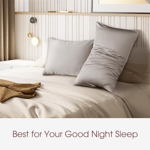 WLOSJ 100% Silk Pillow Cases 2 Pack Queen Size Mulberry Silk Pillowcase for Hair and Skin Set of 2 Highest Grade 6A Silk Soft Breathable Cooling with Hidden Zipper, Grey 6