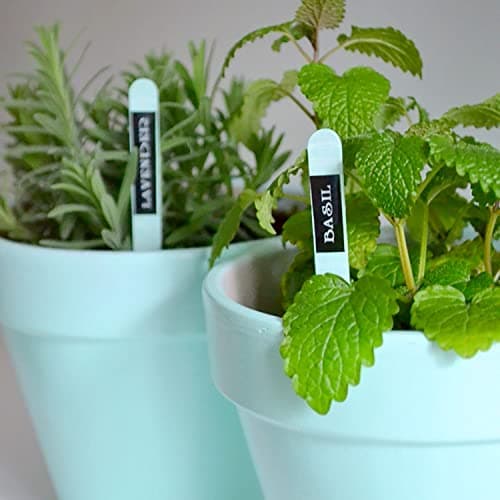 Brother P-Touch, PTD210, Easy-to-Use Label Maker Bundle (4 Label Tapes Included), White, Small 7