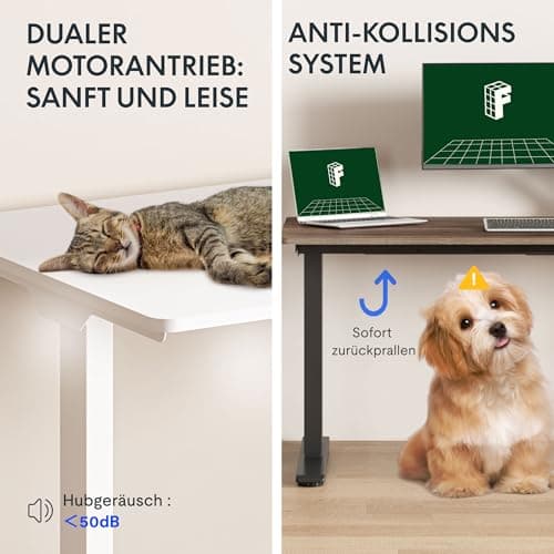 FLEXISPOT 71"x32" Large Dual Motor Electric Standing Desk, White - 198 LBS Heavy-Duty Capacity, Ideal for Home Office, Creative Studio, or Multi-Monitor Setup 6