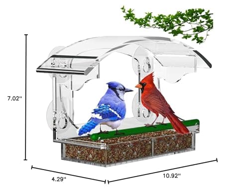 AIKS Window Bird Feeder with 4 Extra Strong Suction Cups, Large Outdoor Bird House for Cardinals Bluebird Chickadees etc 7