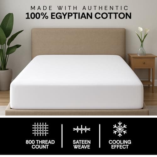 Econest living 100% Egyptian Cotton Queen Fitted Sheet Only-800 Thread Count Cotton Fitted Sheet Queen, Soft, Durable, Cooling 16” Deep Pocket Sateen Weave Bottom, Luxury Hotel Quality,White 7