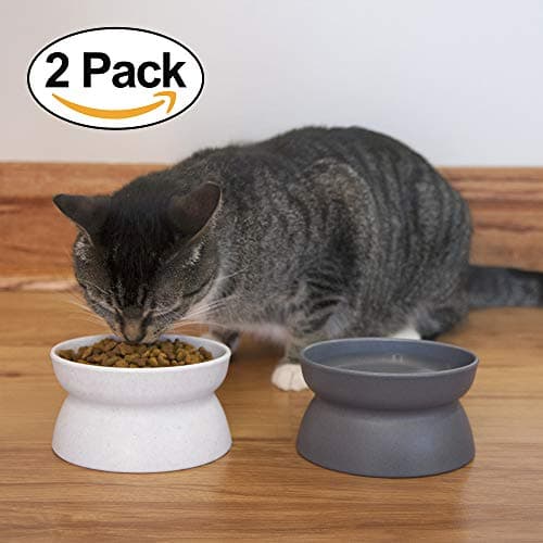 Kitty City Elevated Cat Bowls (Set of 2), Whisker-Friendly Raised Cat Food & Water Dishes, Modern Pedestal Design, Dishwasher Safe, 6.5 oz Each – White & Gray 6