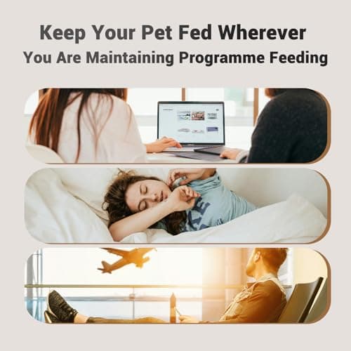PETULTRA Automatic Cat Feeder: 4L Timed Cats Food Dispenser Programmable 1-6 Meal for Cat and Small Medium Dog- Auto Pet Feeder Easy to Set Up Dual Power Supply with Desiccant Bag| Detachable Washable 7