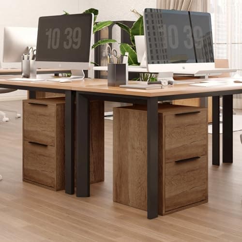 LUCYPAL 2 Drawer File Cabinet,Wood File Cabinets with Hanging Bars for Letter Size,Filing Cabinets for Home Office,Small Vertical Filing Cabinet for Office,Brown 6