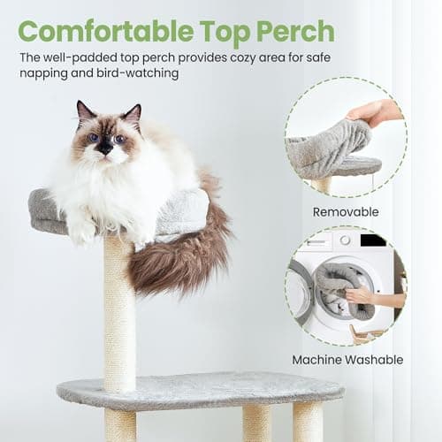Small Cat Tree Tower with Lots of Scratching Posts - 42 Inch Medium Compact Cats Scratch House with Hammock Perch for Multi Level 2 Kitty - Indoor Corner Cat Bed Condo Climbing Gym Towers Furniture 8