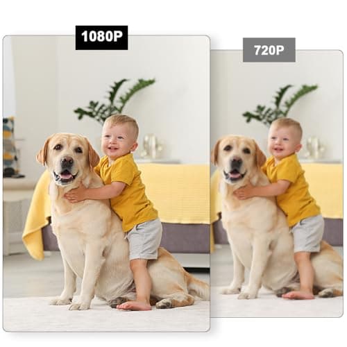 Aipmoz Security WiFi Camera in Bluetooth Speaker with 240° Viewing Angle,Wireless Security Cameras,Dome Cams Phone App,Hd 1080P,Motion Activated for Home Offices Store(2.4G /5G) 7