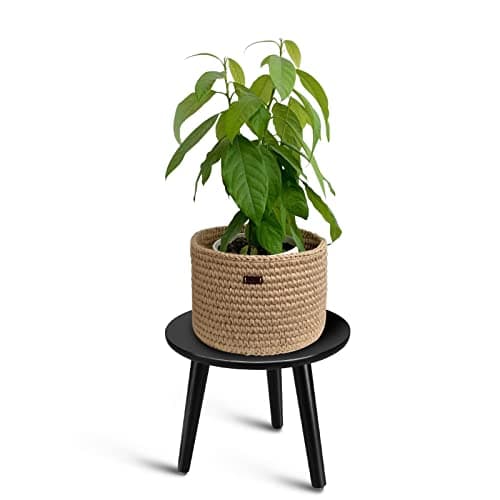 Uneedem Indoor Plant Stand, Modern Plant Table 8.9" Tall Wood Mid Century Flower Holder Small Round Side End Table