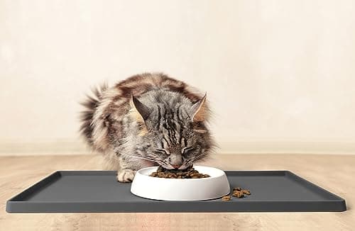 CatGuru Cat Bowls, Whisker Friendly Food Bowl for Indoor Cats, Reliefs Whisker Fatigue, Wide Kitten Dish, Non Slip Pet Dishes, Shallow Pet Plates (Marshmallow, (Pack of 2)) 6