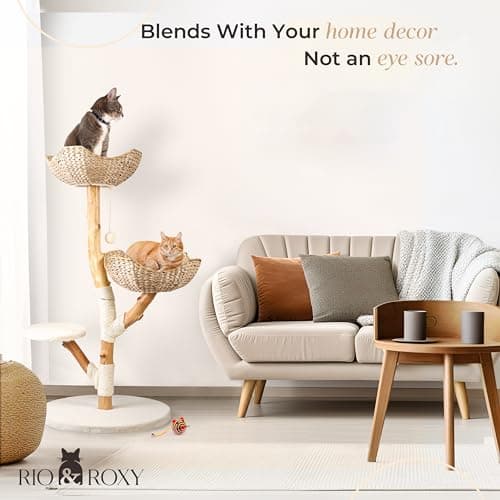 Real Wood Modern Cat Tree Tower for Indoor Cats Large Adult, Wooden Kitty Climbing Tower with Scratching Post and Bed, Boho Aesthetic Luxury Pet Furniture by Rio & Roxy 7
