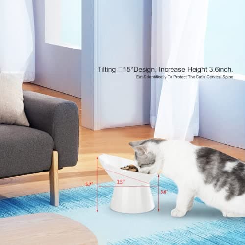 Detachable Elevated Cat Bowls, 15° Tilted Raised Cat Food Bowl Anti-Vomiting, Whisker Friendly, Adjustable Pet cat Dishes for Protecting Spine, Adult Kitten (White) 7