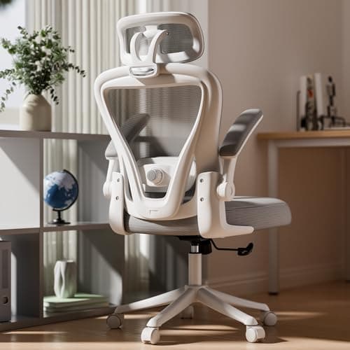 SeekFancy Ergonomic Office Chair M903, Computer Desk Chair with Wheels, High Back Mesh Office Chair with Adjustable Lumbar Support, Headrest, Flip-Up Armrests, White Grey