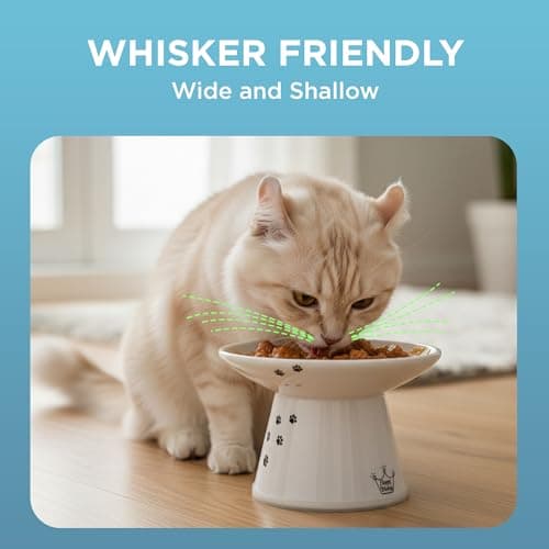 Necoichi Raised Cat Food Bowl – Ceramic Elevated Cat Bowl for Whisker & Neck Fatigue, Dishwasher Microwave Safe – Non-Slip & Anti Vomiting Ergonomic Design (Cats, Extra Wide, 2-Cups Capacity) 5