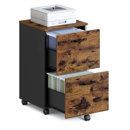 VASAGLE 2-Drawer File Cabinet, Small Rolling Filing Cabinet for Home Office, Printer Stand, for A4, Letter-Size Documents, 15.7 x 16.5 x 27.6 Inches, Rustic Brown and Ink Black UOFC040B01