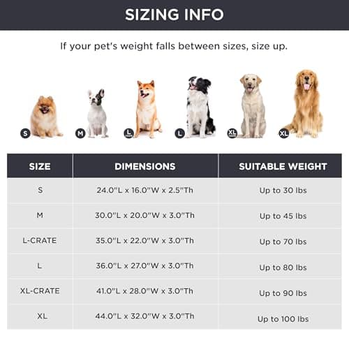 Bedsure Washable Dog Beds Large Sized Dog - 3 Inch Thicken Up to 80lbs Pet Mat Pillows with Removable Washable Cover, Grey 6