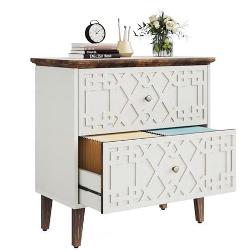 LITTLE TREE 2-Drawer File Cabinet, Lateral Filing Cabinet for A4/Letter/Legal Size, Office Storage Cabinet, Printer Stand with Storage Drawer for Home Office