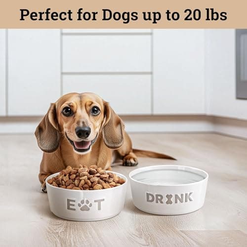 Ceramic Dog Bowl Set of 2 with Anti-Skid Base - 5" Wide x 2" Tall Ceramic Dog Bowls for Small Dogs - 2 Cup Capacity Food and Water Bowls for Dogs - Rubber Bottom Pet Bowl Set of 2 for Small Pets 5