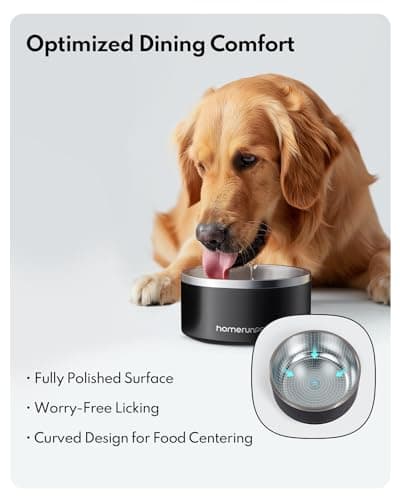 Homerunpet Double Wall Stainless Steel Dog Bowls, Non-Slip Base, Dishwasher Safe, Durable Pet Food & Water Bowl for Dogs & Cats(32oz, Black) 7