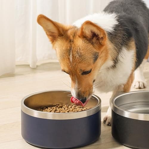 LIHONG Stainless Steel Dog Bowls for Small Medium Sized Dogs Non Slip,Insulated Dog Bowl,Pet Bowl for Food and Water,Rustproof(40oz,Black) 7