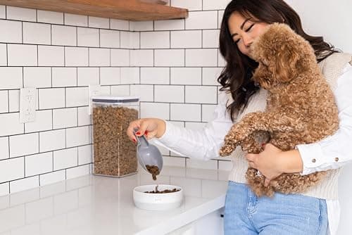 Pearhead Ceramic Bone Appétit Dog Bowl, Stoneware Food and Water Dish, Grey and White Pet Feeder, Small/Medium 2.25 Cups/ 18 oz 6