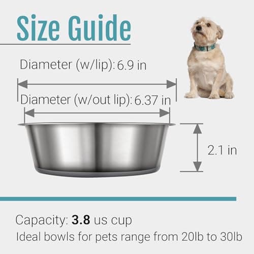 PEGYY11 Nonslip Stainless Steel Dog Bowls, 3.8 US Cup, 2 Count 5