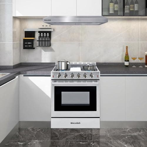 Freestanding Gas Range Stove 30 inch Gas Cooktop Stove 5.56 cu.ft. Large Convection Oven,4 Burners 42000BTU,3 Layers Tempered Glass Door Heavy Duty Stainless Steel 6