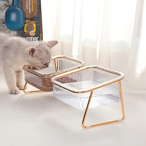 Elevated Cat Bowls, 5.5 inches Food & Water Bowls 15° Tilted Raised Food Feeding Dishes with Iron Stand for Cats and Puppy, with 2 Large Bowl and 4 Anti Slip Feet, Dishwasher Safe 5