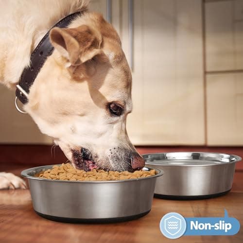 WROSWT Stainless Steel Dog Bowls Set of 2, Anti Rust Metal & Non Slip Rubber Base, Heavy Duty Large Feeding Dishes, Food Grade BPA Free, Food and Water Bowl for Small Dogs (17oz, 2.1cup) 7