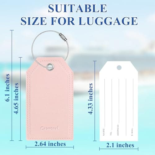 Luggage Tag & Personalized Luggage Tags for Suitcases Leather Bag Tags for Backpacks Handbag School Instrument with Name ID Label Travel Essentials, Unique Fun Pink Baggage Tags 2 Pack 6