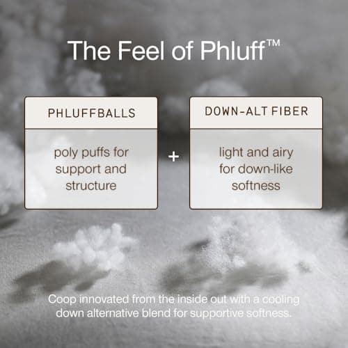 Coop Home Goods Essence Down Alternative Mattress Topper King, Plush 2-Inch Gusset and Baffle Box Design for Even Support and Comfort, Premium Bed Topper for Pressure Relief, Oeko-TEX Certified 6