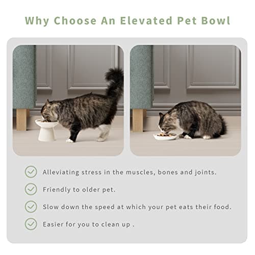 CEEFU 2 Elevated Ceramic Cat Bowls Extra Wide for Food & Water – Whisker Fatigue Shallow Food Dish, Lead & Cadmium-Free, Raised Height for Cats and Dogs, Two Different Depth Bowls, White 5