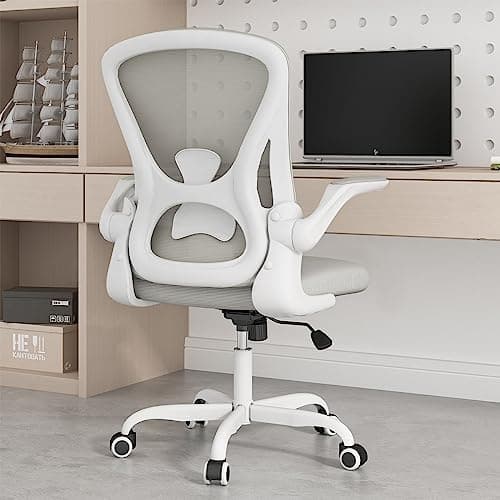 Sytas Ergonomic Desk Chair with Padded Flip up Arms and Supportive Lumbar Support, Breathable Mesh Home Office Chair with Comfortable Cushion for Home or Office(Gray)