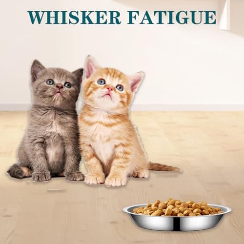 4Packs Cat-Bowls Cat Food Bowl - 6.1 Inch Stainless Steel Cats Feed Bowl for Indoor Cats Shallow and Wide Wet Food Plate Pet Feeding Whisker Fatigue Relief Pet Plate for Kitten Puppy (Type-B) 5