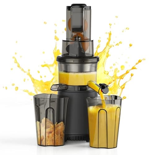 Slow Cold Press Juicer Machines: Masticating Cold Pressed Compact Juicer For Vegetable And Fruit Easy To Clean, Silver Grey