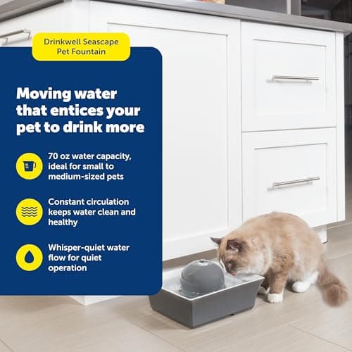 PetSafe Drinkwell Ceramic Pet Water Fountain - Quiet Automatic 70oz Dispenser for Cats & Dogs with Filters - Dishwasher Safe Square Design 2