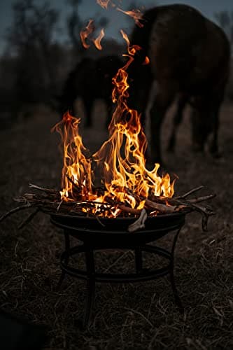 Gas One 22 in Outdoor– Wood Burning Fire Pit with Mesh Lid and Fire Picker – Durable Alloy Steel Fire Pits for Outside – Small Fire Pit for Backyard, Porch, Deck, Camping, BBQ 9