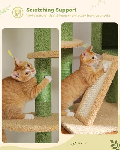 PEQULTI Tall Cat Tree, Floor to Ceiling Cat Tree Tower Adjustable [90.5''-100.4''=230-252CM] with Cat Condo, Cat Hammock and Scratching Post, Climbing Tree for Indoor Large Cats, Green 6