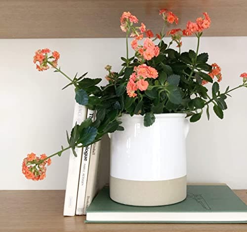 Chloe and Cotton Oversized Farmhouse Kitchen Utensil Holder | White Ceramic Crock for Cooking Utensils Storage 6