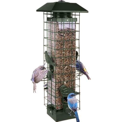 Squirrel Proof Bird Feeders for Outdoors, Metal Wild Bird Feeder for Outside Hanging, 4 Ports Perches, 3LB Large Capacity (Green)