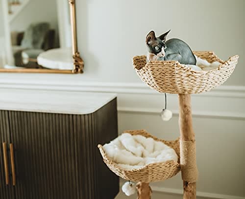 Modern Cat Tree Tower, Real Branch luxury Cat Condo, Wood Cat Tower, Cat Scratching Tree, Cat Condo, Cat Lover Gift, Luxury Cat, Cat Gifts by Mau Lifestyle 6