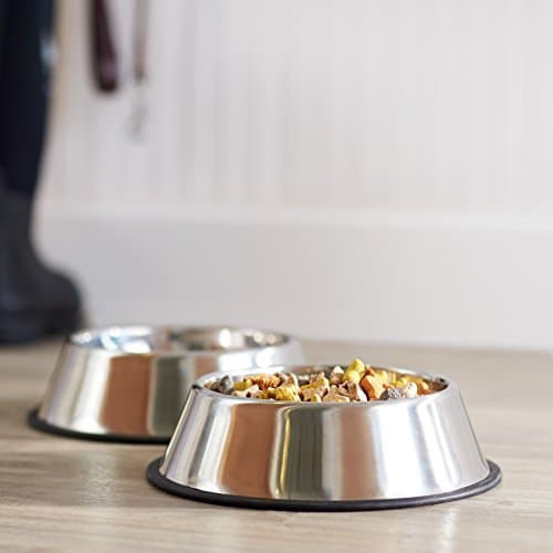 Amazon Basics Stainless Steel Non-Skid Dog Water And Food Bowls, Dishwasher Safe, Rust Resistant, 38oz Capacity, 10 x 2.8 Inches, 2-Pack 7