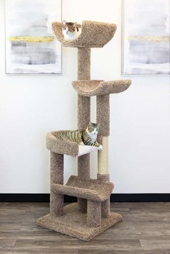 New Cat Condos 190121-Brown Cat Climbing Tree